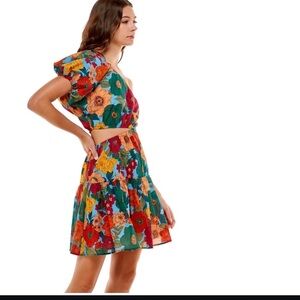 Du Paradis Dress Multicolor Floral Cut Out One Shoulder Mini Fit & Flare